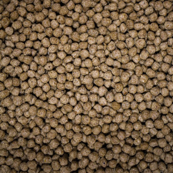 Medikoi - Wheatgerm with Garlic Medikoi - Wheatgerm with Garlic